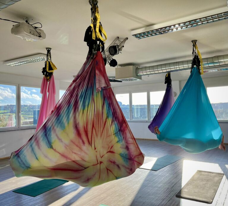 Read more about the article Aerial Yoga Airflow Events @ Fitness Park Filderstadt